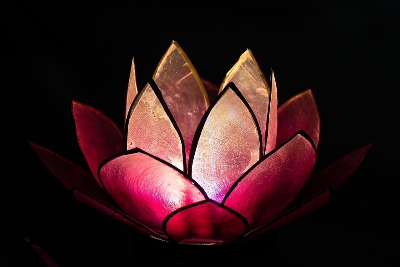 Appartement Pink Lotus Wenen
